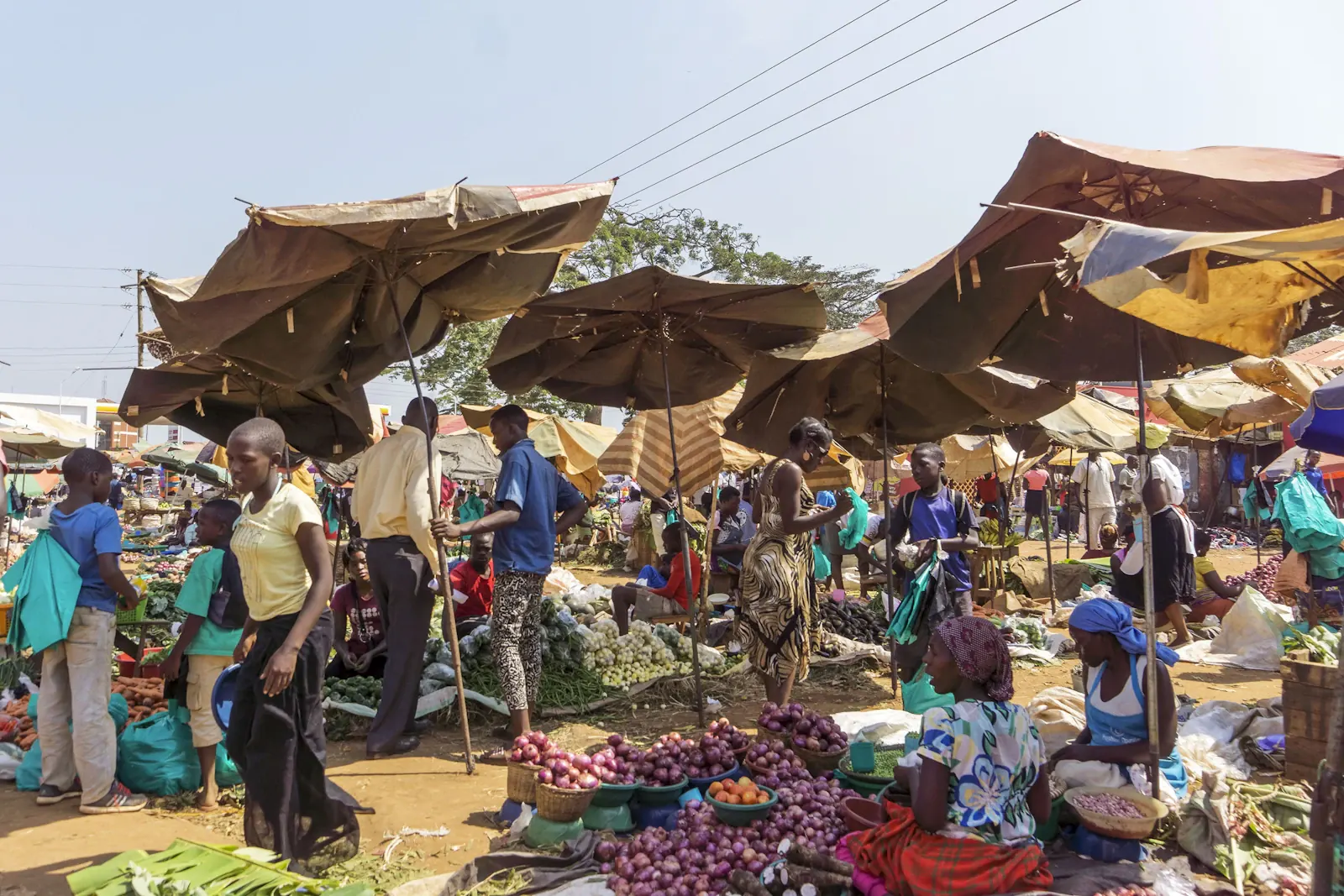 A busy wholesale and market floor in South Africa